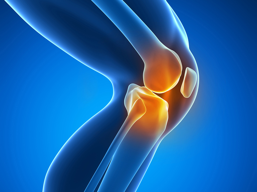 우슬등복합물 (HL-Joint100®) (개별인정 제 2018-13호)